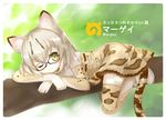  ;) animal_ears cat_ears cat_tail character_name commentary_request glasses green_eyes in_tree japari_symbol kemono_friends looking_at_viewer lying margay_(kemono_friends) margay_print mimi_(mimi_puru) on_stomach one_eye_closed short_hair silver_hair smile solo tail thighhighs translation_request tree tree_branch zettai_ryouiki 