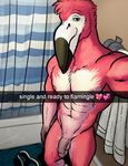  &lt;3 abs avian balls bathroom beak bgn bird clothing feathers flamingo nipples penis pink_feathers serio_(bgn) shower_curtain snapchat towel underwear underwear_down 