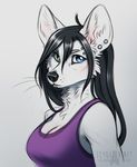  anthro black_hair black_nose breasts canine clothed clothing ear_piercing eyebrow_piercing facial_piercing female fur hair heterochromia inner_ear_fluff lip_piercing looking_at_viewer mammal piercing rotarr sketch solo whiskers wolf 