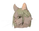  ambiguous_form ambiguous_gender feline fur hair headshot hinia looking_at_viewer mammal solo whiskers 