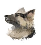  ambiguous_gender canine feral fur headshot hinia mammal signature simple_background smile solo white_background 