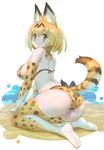  adapted_costume animal_ears ass bikini blush breasts commentary commentary_request elbow_gloves extra_ears from_side gloves highres kemono_friends large_breasts partial_commentary sakurai_shizuku_(mimipull) serval_(kemono_friends) serval_ears serval_print serval_tail short_hair simple_background sitting smile solo swimsuit tail thighhighs wariza 