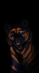  black_fur feline feral fur green_eyes kitchiki mammal orange_fur pink_nose solo striped_fur stripes tiger 