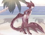  ambiguous_gender anthro beach detailed_background fish hands_on_hips hi_res marine maroon_hair rudragon sea seaside shark water white_eyes 