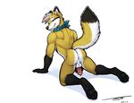  anus balls canine canine_genitals fox fur hair handkerchief mammal multicolored_hair nude penis presenting rainbow_hair simple_background tsaiwolf white_background yellow_fur zanth 