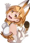  animal_ears bare_shoulders blonde_hair bow bowtie ear from_above gloves go_robots kemono_friends looking_at_viewer open_mouth serval_(kemono_friends) serval_ears serval_print serval_tail short_hair sleeveless tail thighhighs 