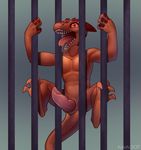  cage kobold male penis prison solo 