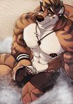  2017 abs anthro beach belly biceps big_biceps big_muscles black_hair blonde_hair blue_eyes bracelet brown_nose caffeinatedcreep canine clothed clothing dog ear_piercing erection front_view hair humanoid_penis jewelry kyo_(kiasano) male mammal muscular muscular_male mustelid necklace nipples otter outside pants partially_clothed pecs penis piercing pose sand seaside shorts smile solo spread_legs spreading topless vein veiny_penis 