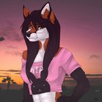  anthro canine clothed clothing female fox fur hair looking_at_viewer mammal manikanika outside smile solo 