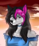  anthro canine clothed clothing cloud female fur hair looking_at_viewer mammal manikanika smile solo 