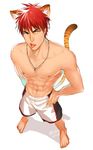  1boy abs animal_ears cat_ears cat_tail ear kuroko_no_basuke male_focus muscle nipples red_hair solo tail topless 