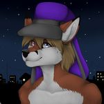  anthro canine fox fur hair hat looking_at_viewer male mammal manikanika night_sky smile solo 