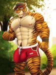  anthro bulge clothed clothing dream_and_nightmare feline male mammal muscular shorts solo tiger topless 