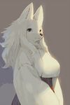  blue_eyes fox furry japanese_clothes kishibe long_hair white_hair 