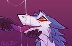  2017 ambiguous_gender anthro blue_fur chazcatrix cum disembodied_hand forked_tongue fur long_tongue murrkus orange_eyes sergal simple_background solo tongue tongue_grab white_fur 