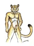  2001 balls cougar erection feline male mammal silverwyvern solo 