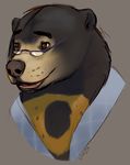  bear brown_eyes brown_fur brown_nose clothed clothing eyewear fur garith_van_horne_(character) glasses head_shot male mammal shaza_(artist) shirt smile solo sun_bear yellow_fur 