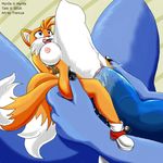  rule_63 sonic_team tagme tails trancua 