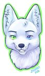  ambiguous_gender blue_eyes canine fox fur green_eyes headshot mammal mismatched_eyes shaza_(artist) sherry_fox_(character) simple_background smile solo teeth white_fur 