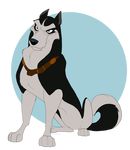  balto_(film) black_fur canine collar dog feral fur kitchiki male mammal paws sitting solo steele_(balto) white_fur 