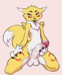  balls digimon fur girly looking_at_viewer male penis renamon simple_background ungulatr white_fur yellow_fur 