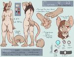  5_toes breasts claws clothing collar digitigrade ear_piercing fangs feline female grey_eyes heterochromia mammal model_sheet multi_nipple nipples nude paws piercing pussy rat red_eyes rodent solo tail_ring tail_tuft toe_claws toes tuft undressing vampirekitty 