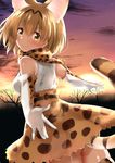  absurdres animal_ears brown_eyes brown_hair elbow_gloves extra_ears gloves go-1 highres kemono_friends looking_at_viewer outstretched_arms serval_(kemono_friends) serval_ears serval_print serval_tail short_hair sky solo spread_arms star_(sky) starry_sky sunset tail tree twilight 