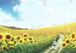  cloud cloudy_sky commentary_request day field flower flower_field highres kun52 original path road sky solo standing sunflower tree 