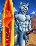  anthro balls beach canine dog erection foxxfire holding_penis husky knot male mammal nude outside penis seaside solo standing surfboard 