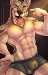  2017 abs anthro biceps black_nose bulge canine clothed clothing digital_media_(artwork) fcsimba fur male mammal muscular muscular_male nipples pecs solo tongue tongue_out topless tuft underwear wolf yellow_eyes 