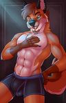  2017 abs anthro biceps black_nipples boxers_(clothing) canine clothed clothing digital_media_(artwork) fcsimba fox fur male mammal muscular muscular_male nipples pecs topless tuft underwear 