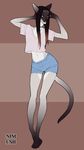  anthro cat clothed clothing feline hair long_hair looking_at_viewer male mammal navel nimushka siamese solo wide_hips 