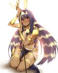  animal_ears dark_skin egyptian egyptian_clothes facial_mark fate/grand_order fate_(series) high_heels jackal_ears jewelry kneeling long_hair multicolored_hair nitocris_(fate/grand_order) purple_eyes smile solo staff tan tokiwa_midori_(kyokutou_funamushi) two-tone_hair 