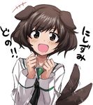  akiyama_yukari animal_ears ashiwara_yuu bangs blouse blush brown_eyes brown_hair commentary_request dog_ears dog_tail girls_und_panzer kemonomimi_mode long_sleeves looking_at_viewer messy_hair neckerchief ooarai_school_uniform open_mouth school_uniform serafuku short_hair simple_background smile solo tail tail_wagging translated upper_body white_background white_blouse 