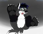  anthro canine cloufy digital_media_(artwork) fan_character fur hair hi_res hindpaw looking_at_viewer male mammal pawpads paws simple_background solo tongue 