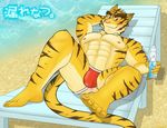  2017 abs biceps digital_media_(artwork) edogast feline fur male mammal morenatsu muscular muscular_male nipples pecs summer tiger torahiko_(morenatsu) 