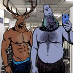  anthro avian billmund bird body_hair cervine chest_hair clothed clothing deer duo looking_at_viewer male mammal mirror muscular nipples overweight phone pigeon selfie standing topless 