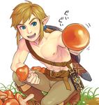  1boy blonde_hair link male_focus mushroom pointy_ears smile solo tagme the_legend_of_zelda the_legend_of_zelda:_breath_of_the_wild topless 