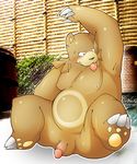  anthro balls bear biceps big_muscles blush brown_fur chubby claws fur grizzly_bear male mammal musclegut muscles nintendo nipples nude penis pok&#233;mon pokemon solo spread_legs spreading toe_claws tongue tongue_out ursaring video_games whinge 