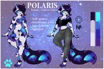  anthro breasts clothed clothing featureless_breasts feline female fur hair looking_at_viewer mammal model_sheet off/on polarlights solo watermark 