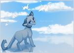  blue_eyes collar feline feral fur kitchiki mammal sky standing 