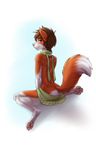  anthro brown_hair canine digitigrade fluffy fluffy_tail fox hair mammal omesore ornange_fur pawpads simple_background sitting solo white_background 