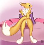  2017 anthro at black_nose blue_eyes bridal_gauntlets butt clothing facial_markings front_view fur invalid_tag markings multicolored_tail neck_tuft small_waist solo spreading standing tuft viewer warmers white_fur wide_hips yellow_fur 