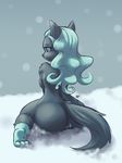  2017 3_toes anthro anus big_butt blue_eyes blue_hair breasts butt canine clothing echoseed_(artist) female fur grey_fur hair legwear looking_at_viewer looking_back mammal mostly_nude pussy side_boob snow socks solo toes voluptuous wide_hips wolf 