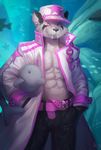  anthro belt canine clothed clothing fur hat kaptain_spicy looking_at_viewer male mammal muscular plushie scar solo standing 