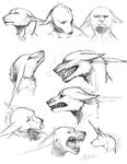  ambiguous_gender anthro canine daryabler mammal monochrome open_mouth sketch sketch_page solo teeth tongue tongue_out 