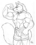  2005 canine clothed clothing collar erection mammal muscular nipples topless wolf 