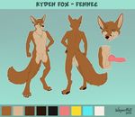  animal_genitalia animal_penis canine canine_penis fennec fox kyden male mammal model_sheet penis 