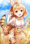 :d animal_ears bangs blonde_hair blue_sky blush breasts brown_eyes brown_gloves brown_skirt cloud cloudy_sky commentary day elbow_gloves extra_ears eyebrows_visible_through_hair fang frilled_blouse gloves hair_between_eyes hands_up high-waist_skirt kemono_friends looking_at_viewer medium_breasts open_mouth outdoors paw_pose sakura_ani savannah serval_(kemono_friends) serval_ears serval_print serval_tail short_hair skirt sky sleeveless smile solo tail thighhighs white_gloves 