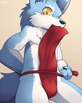  anthro blush bulge canine clothed clothing clothing-in_mouth cub front_view fundoshi japanese_clothing male mammal solo topless underwear unrealplace wolf young 